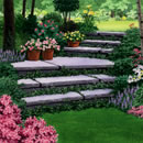 garden flowers steps